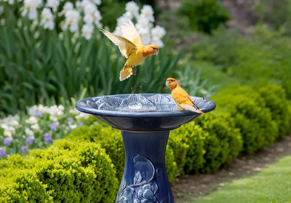 how-to-attract-birds-to-your-bird-bath-fountain