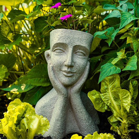 bust head planters