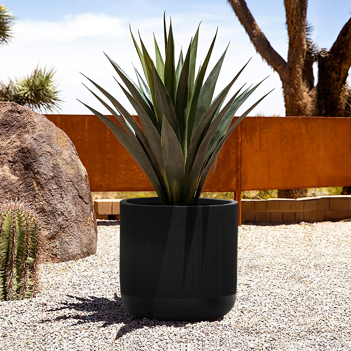 A large potted agave plant is placed on gravel, surrounded by desert landscape elements, including a cactus and rocks.