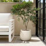Large Plant Pot  for Indoor and Outdoor Plants with Drainage, 14'' Dia