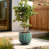 Jade Green Large Round Ceramic Planter with Attached Saucer, Glazed Indoor Outdoor Planter Pot 14.2'' Dia