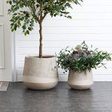 Two beige ceramic pots, one a round tapered planter, sit gracefully on a gray floor. One cradles a tree, while the other showcases purple and white flowers with lush greenery, all set against a sleek white paneled wall.