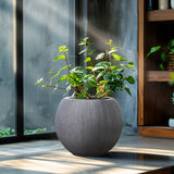 A green leafy plant in a modern planter made of durable polyethylene sits on a sunlit floor near a window, with a bookshelf in the background.