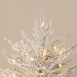 Pre-Lit Snowy Christmas Tree with MgO Crate ,5Ft