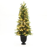 Pre-Lit Pine Christmas Tree with Black Potted,4.5Ft