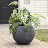 A lush green fern plant, cradled in a modern round gray pot crafted from durable polyethylene, sits elegantly on a wooden deck, framed by the backdrop of a house and expansive grassy area.