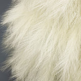 Holiday Natural Ivory Pampas Grass Trees,6ft