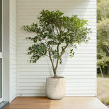 Textured Tall Plant Pots, Off-white Large Plant Pot with Drainage Hole 14.4'' H