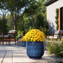 A vibrant garden patio features a LuxenHome Ocean blue glazed round ceramic planter, 11.22 h, filled with blooming yellow flowers. In the background, cushioned wooden chairs, green plants, and a modern building bask in warm sunlight, creating a charming gradient color effect.