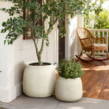 Cement Beige Round Plant Pot with Drainage Hole, 16'' Dia