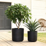 Two durable planters sit on a wooden deck. The left plant is taller with broad leaves, and the right is shorter with spiky foliage. Behind them, a white house and a wicker chair create a serene outdoor scene.