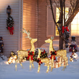 Christmas Lighted LED Deer Family Holiday Yard Decoration - Set of 3