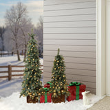 Green Downswept Christmas Tree with Potted,set of 2