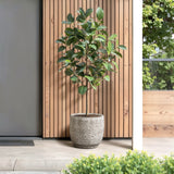 Stone Speckle Textured Ceramic Planter Pot, Gray 12"