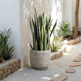 Stone Speckle Textured Ceramic Planter Pot, Gray 12"