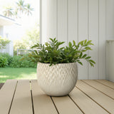 Textured Round Plant Pots, Off-white Large Plant Pot with Drainage Hole 14.2'' Dia