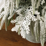 Unlit Potted Christmas Tree with White Tips,4Ft