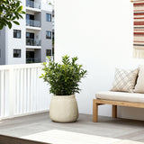 Cement Beige Round Plant Pot with Drainage Hole, 12'' Dia