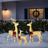 Christmas Lighted LED Deer Family Holiday Yard Decoration - Set of 3