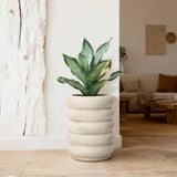 Beige Large Plant Pot with Drainage Hole and Rubber Plug, 23" H