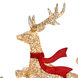Champagne Gold Christmas Deer Family Decoration, Set of 3