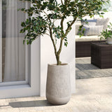 A potted tree with green leaves in a high-quality magnesium oxide planter stands on a patio next to a glass door. A sofa with cushions is visible in the background, enhancing the modern vibe of the space.