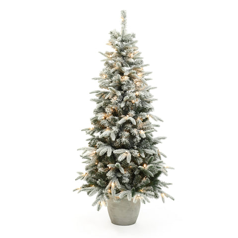 classic-stunning-christmas-tree-is-perfect-for-celebrating-the-holiday-season