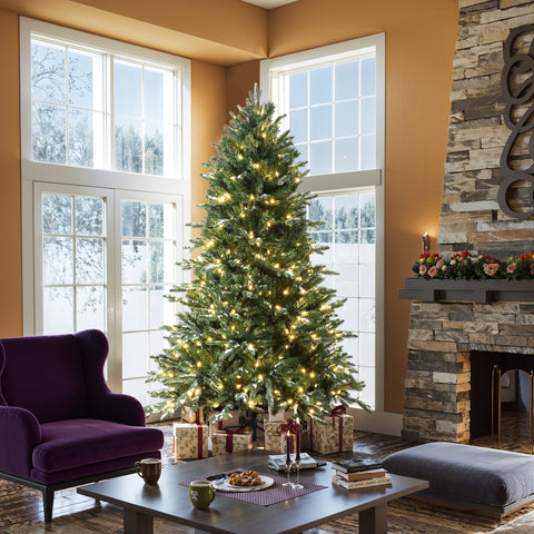 displays-this-big-christmas-tree-in-front-of-windows