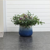 Glazed Blue Round Ceramic Planter Pot with Drainage, 11.6'' Dia