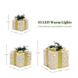 Christmas Decor Gift Boxes with Lights Outdoor - Set of 3