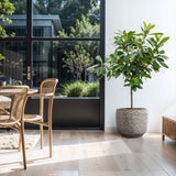 Stone Speckle Textured Ceramic Planter Pot, Gray 15.75"