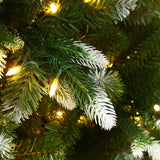 green-christmas-tree-with-its-lightly-snow-flocked-branches-and-full-appearance