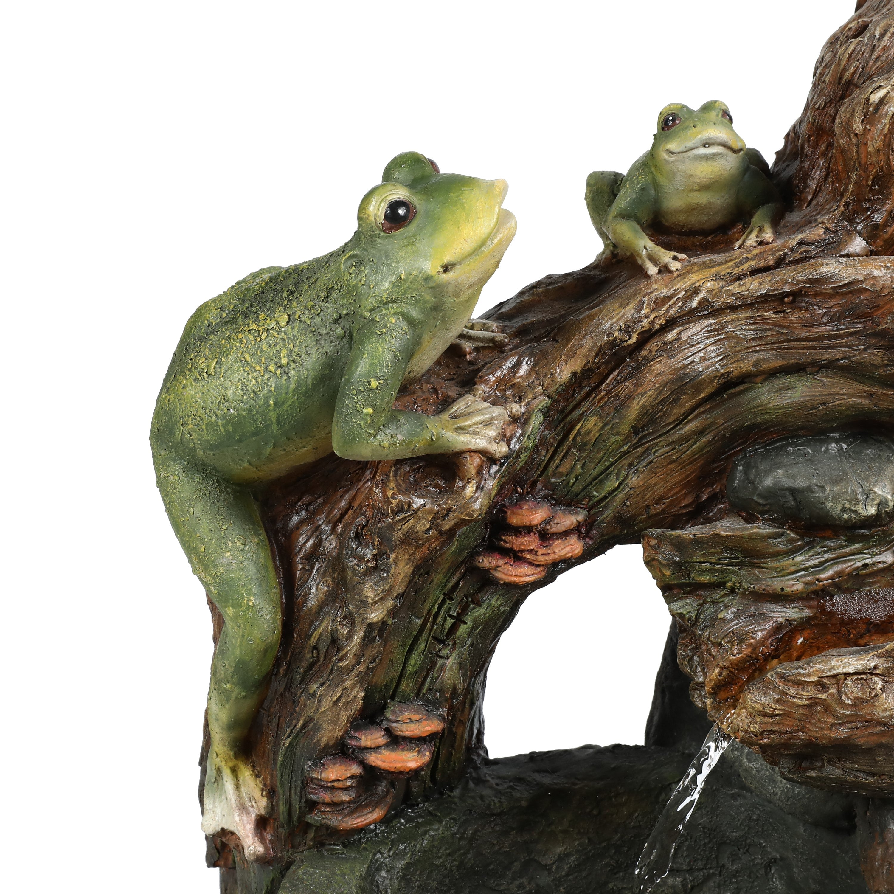 two-frogs-sitting-on-a-tree