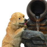 beautiful-puppy-drinking-fountain-water