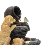 two-little-dogs-playing-and-drinking-water-with-a-bird-on-a-outdoor-fountain