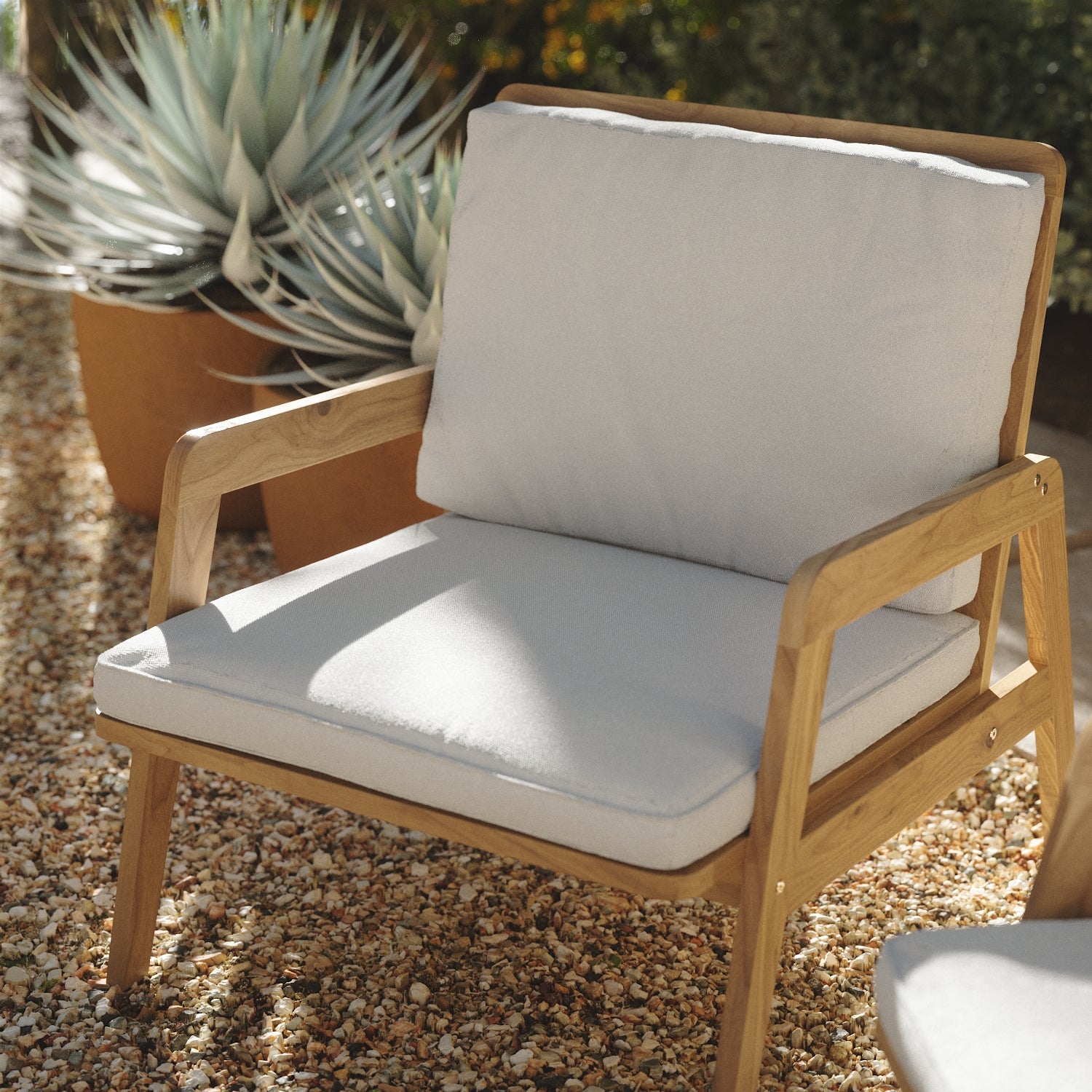 wooden-chair-and-a-plant