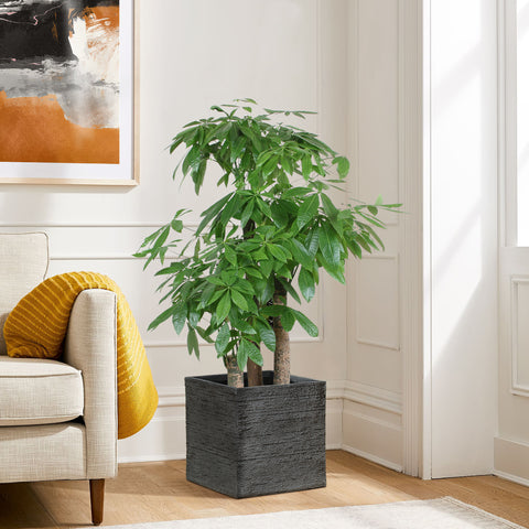 Urbano indoor/outdoor planter, cube, large