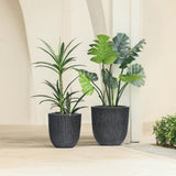 Two large potted plants with broad green leaves stand on a tiled surface against a neutral wall backdrop, housed in minimalist design planters that perfectly complement the serene setting.