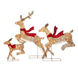Champagne Gold Christmas Deer Family Decoration, Set of 3