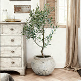 Distressed Large Round Plant Pot with Drainage, 15.75'' Dia