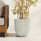 A large potted plant with slender branches and green leaves sits gracefully in a modern planter with a textured white finish, perfectly complementing the nearby wooden furniture piece.