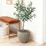 Round Planter Pot, Rustic Flower Pot with Drainage Hole 12.4'' Dia