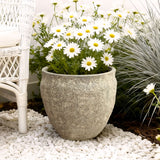 Round Planter Pot, Rustic Flower Pot with Drainage Hole 12.4'' Dia