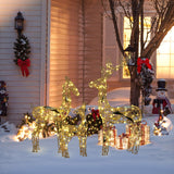 Christmas Deer Family Outdoor Holiday Decoration Lights, Set of 3
