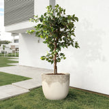 Antique Travertine Tapered Round Planter,Off-White,15.75''