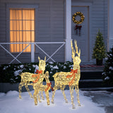 Holiday Deer Decoration with Timer and Lights, Set of 3