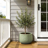 Green Large Round Planter with Floral Texture, Decorative Garden Plant Pot 16'' Dia