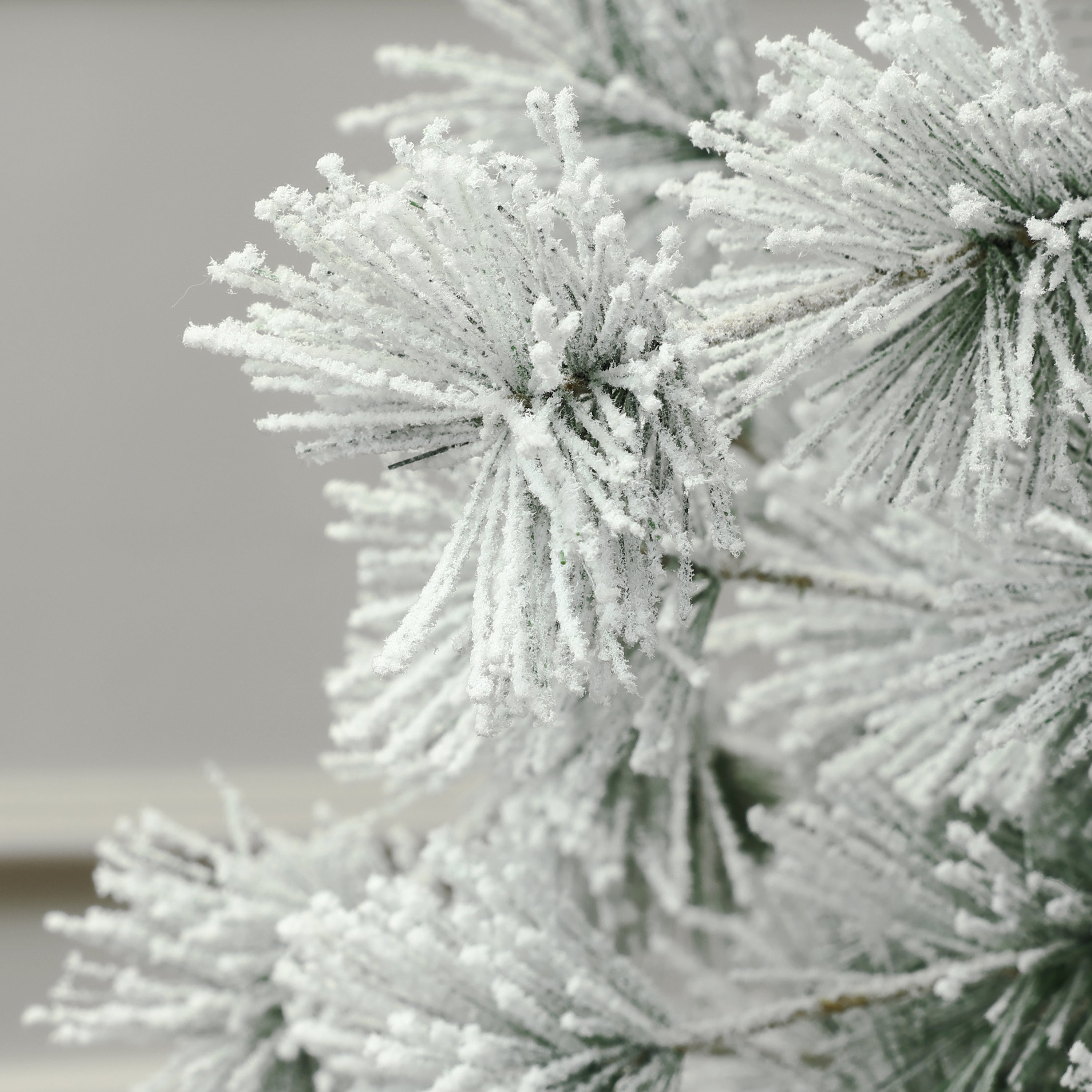 white-christmas-tree-is-snow-dusted-pine-needles-shapely-design