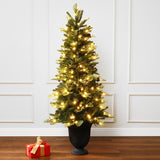 Pre-Lit Pine Christmas Tree with Black Potted,4.5Ft