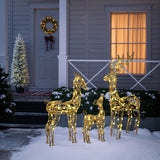 Christmas Deer Family Outdoor Holiday Decoration Lights, Set of 3